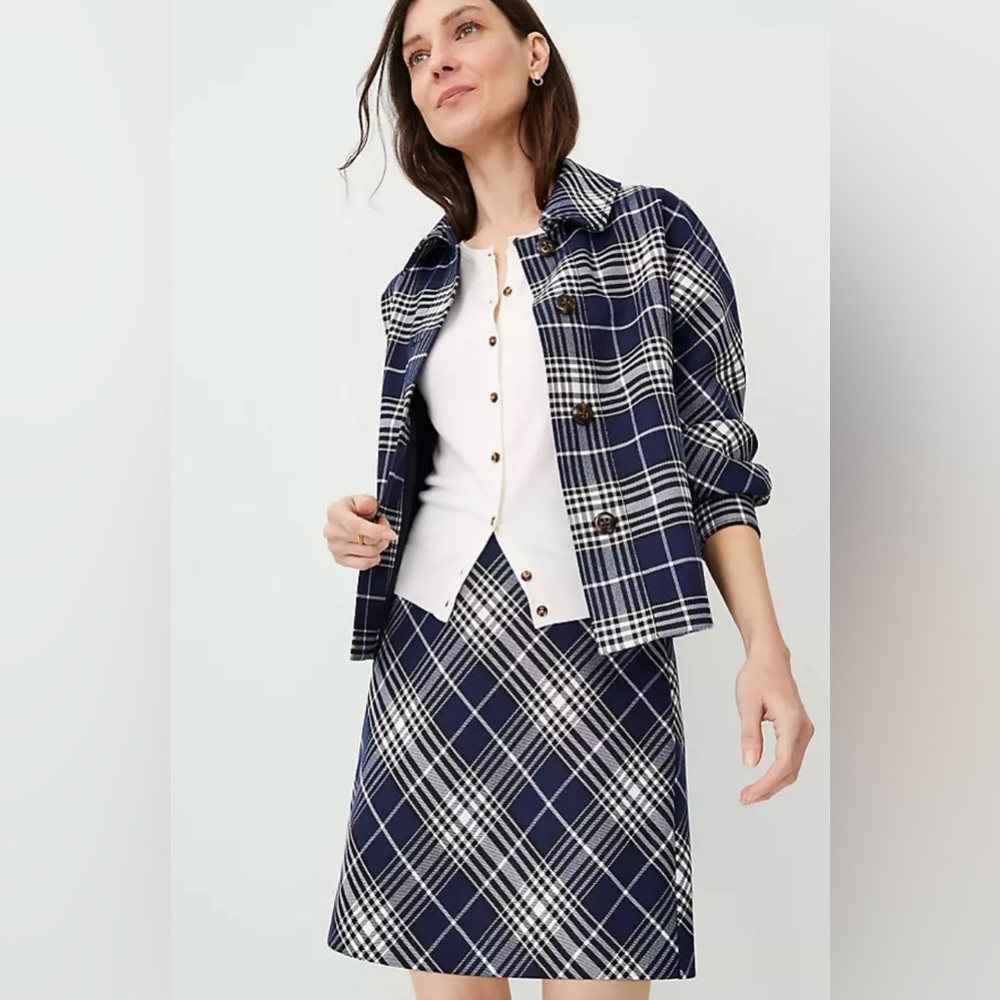 Ann Taylor - Plaid A-line skirt (8)